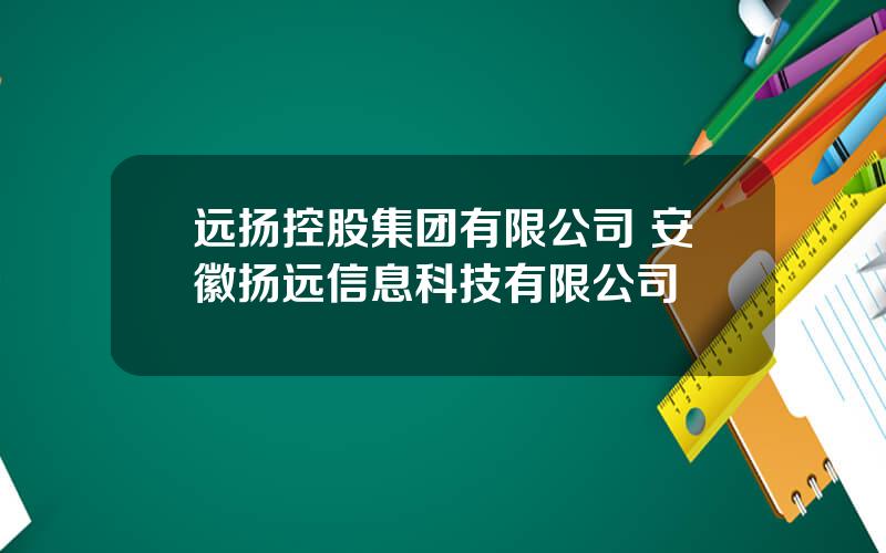 远扬控股集团有限公司 安徽扬远信息科技有限公司